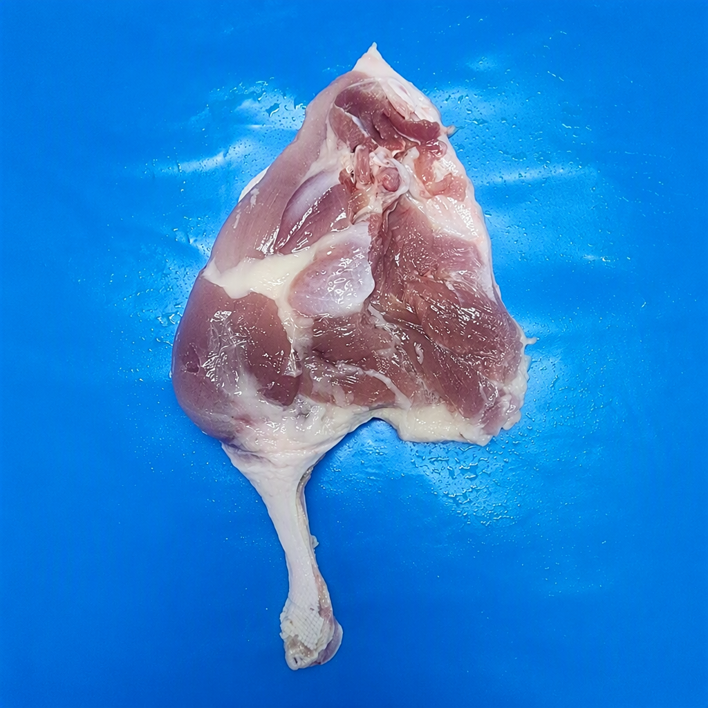 Frozen Duck Leg