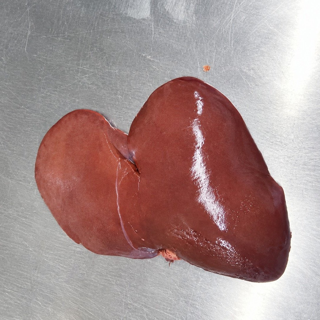 Frozen Lamb Liver