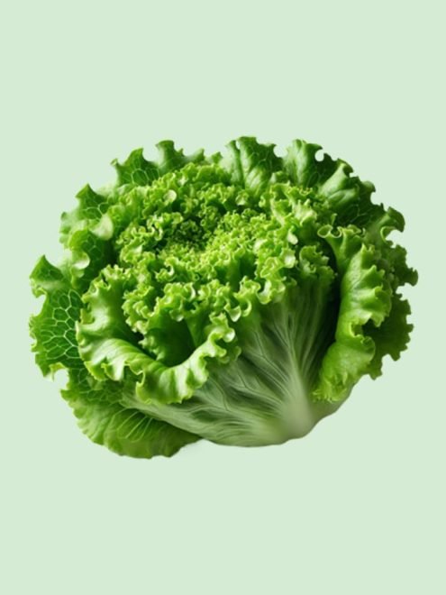 Fresh from Nature